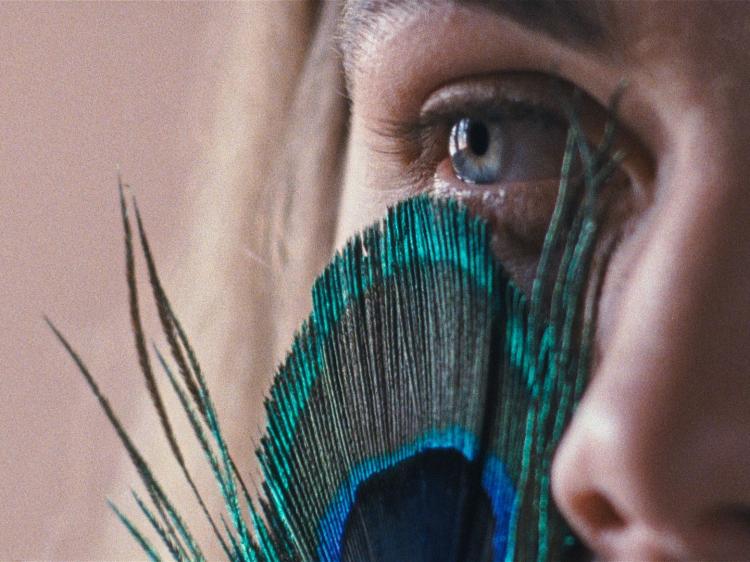 A METAMORFOSE DOS PÁSSAROS, de Catarina Vasconcelos