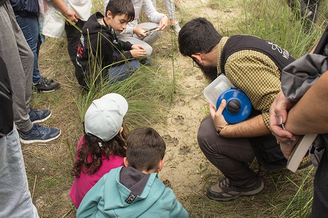 No Rasto dos Animais