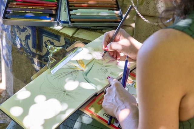 Desenhar para Conhecer a Quinta da Fidalga, pelo Olhar do Artista