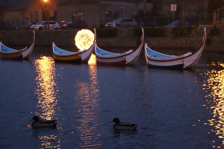 PASSEIOS EM BARCO DE ARTE XÁVEGA NO PARQUE DA CERCA