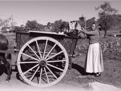 AS JANEIRAS, pelo Rancho Folclórico e Etnográfico de Odiáxere
