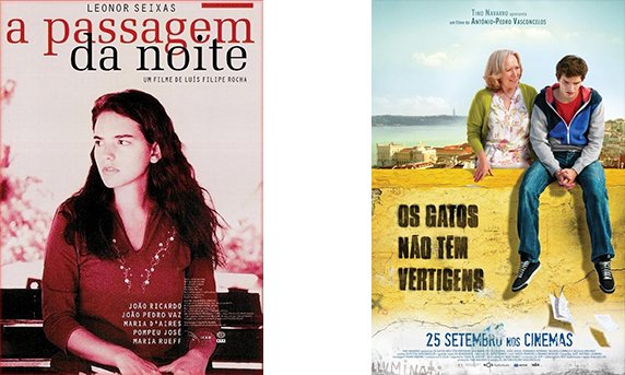 Os Gatos Não Têm Vertigens | O Palácio de Cidadãos 