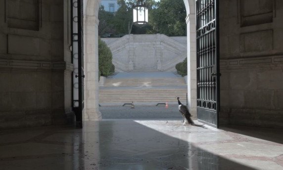 O Palácio de Cidadãos