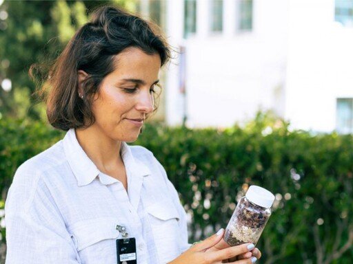 Explica-me como se tivesse 5 anos – Joana Madureira