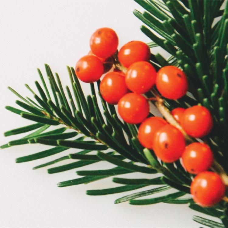 Ensemble Jesu Meine Freude