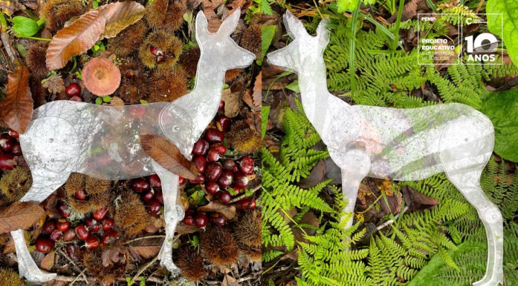 “A Corça e a Mãe Terra”