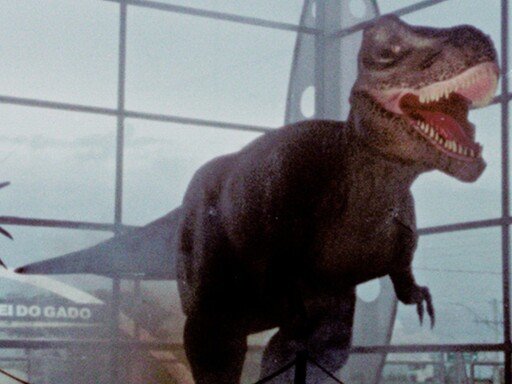 Patologias fílmicas e outras dissidências