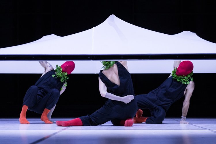 Neve - Paisagens, Máquinas, Animais