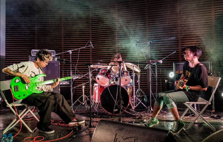 Green Milk from the Planet Orange ⟡ Ficus ⟡ ZDB