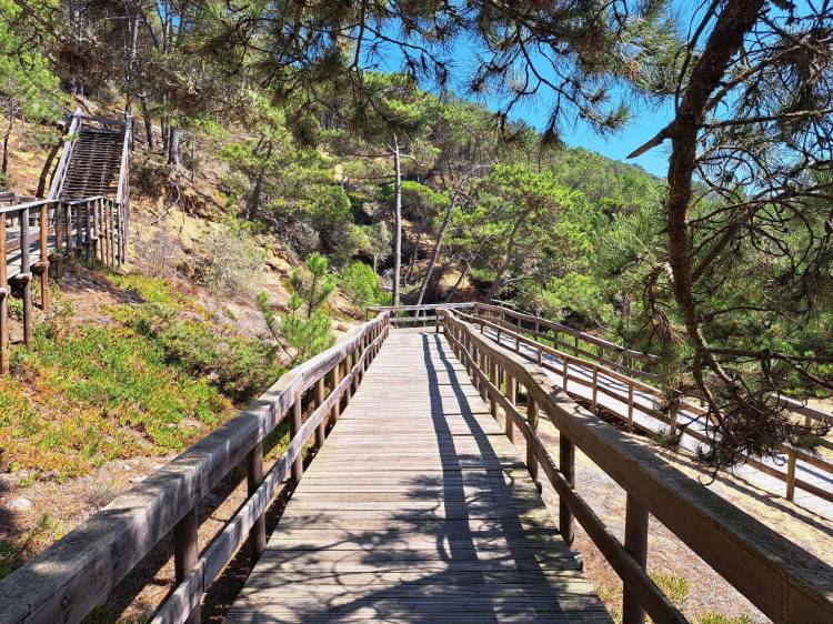 1ª Caminhada do Ano: Encostas e Passadiços do Magoito