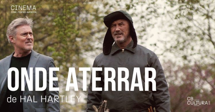 ONDE ATERRAR, DE HAL HARTLEY