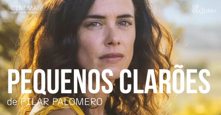 PEQUENOS CLARÕES, DE PILAR PALOMERO