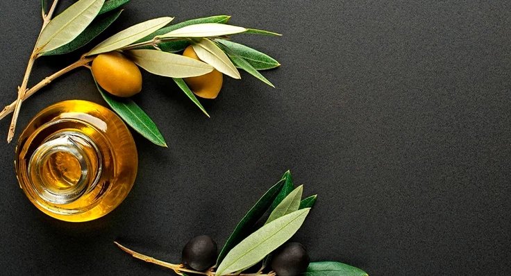 IX Cata Concurso AOVE