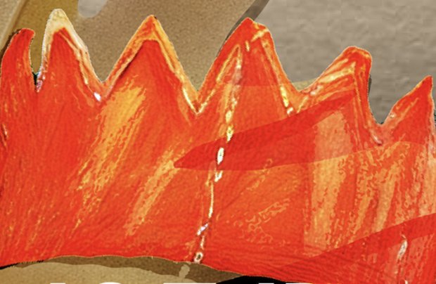 Guimarães Canta os Reis 2026