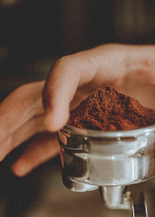 Prova e Descoberta: Café Comercial VS. Café de Especialidade