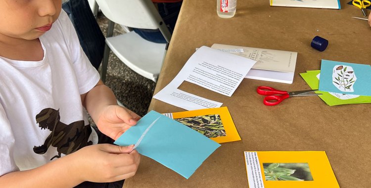 Talleres de Vacaciones - Cuentos y tradiciones costarricenses