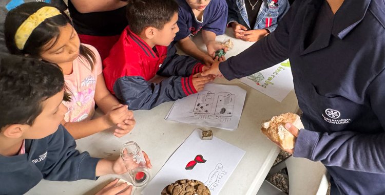 Talleres de Vacaciones - ¡Edad de hielo! Una aventura congelante