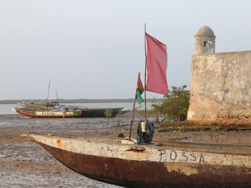 Ecologias da Liberdade: Balanço e Perspetivas Futuras