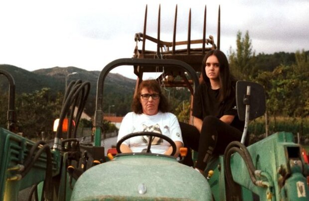 A Savana e a Montanha