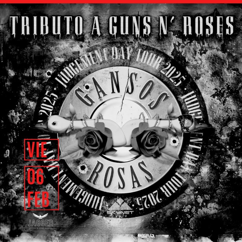 CONCIERTO | Gansos Rosas