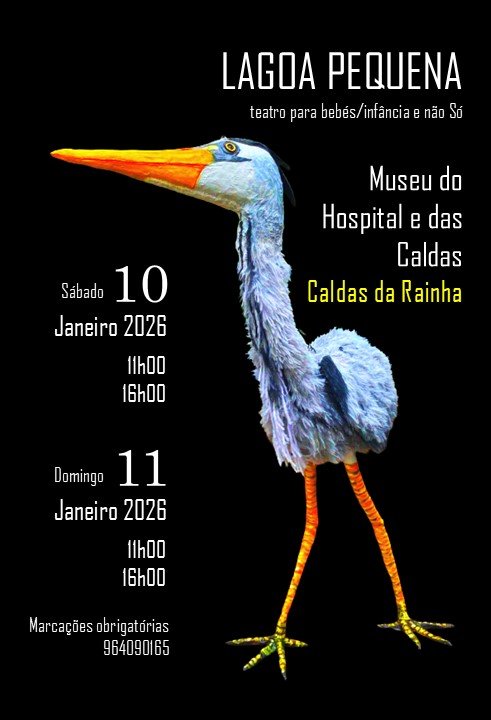 Lagoa Pequena - Teatro para bebés/infância e não Só