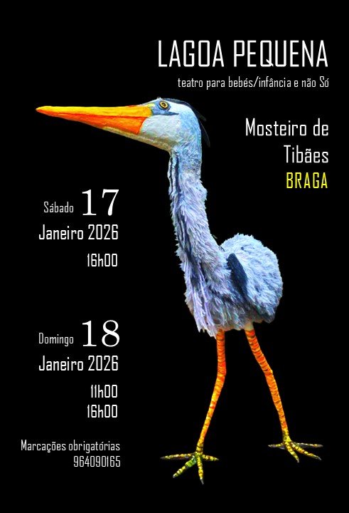 Lagoa Pequena - Teatro para bebés/infância e não Só