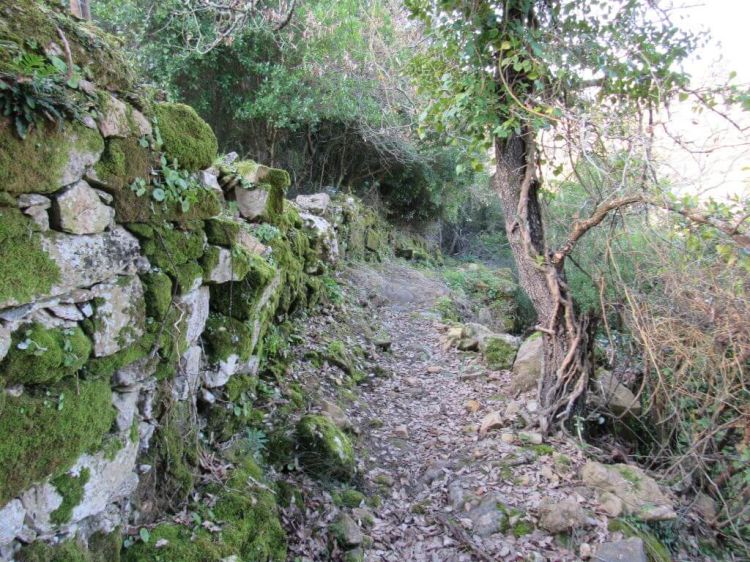 Caminhando em Bosques do Sobral