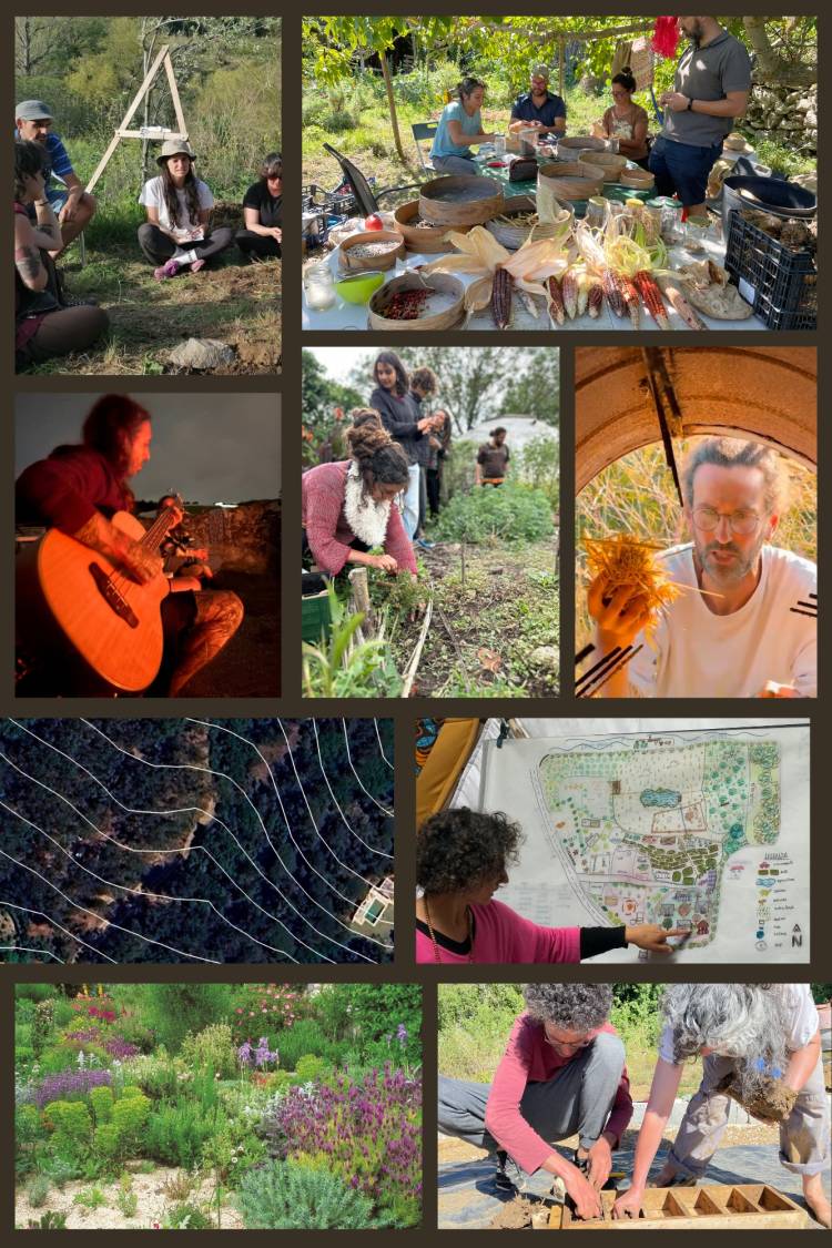 Curso Certificado de Design em Permacultura 