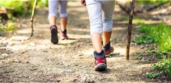 Caminhadas Veredas do Alportel - Grupo do Alportel