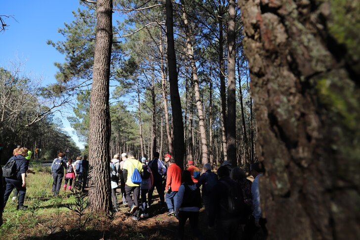 MUNICÍPIO DA MARINHA GRANDE RETOMA PASSEIOS PEDESTRES MENSAIS