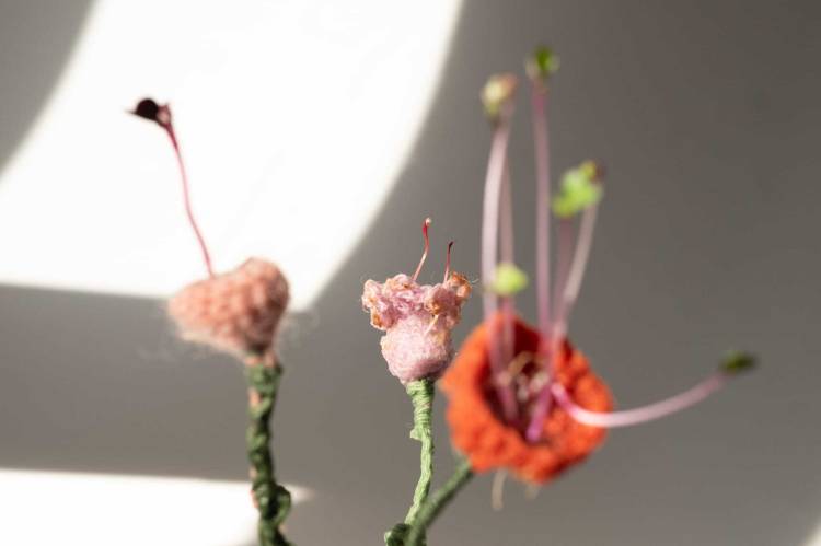 Workshop de Bioescultura desafia participantes a explorarem e desenvolverem técnicas á base de biomateriais.