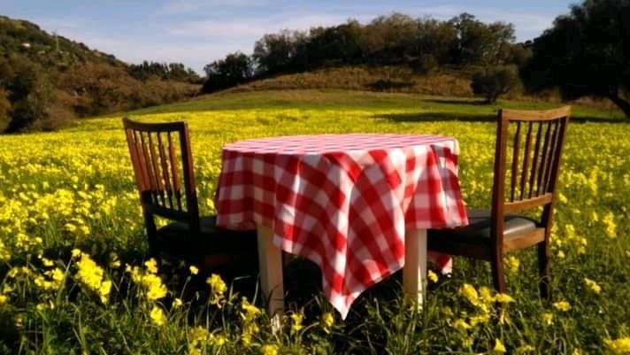 À procura de namorado/a