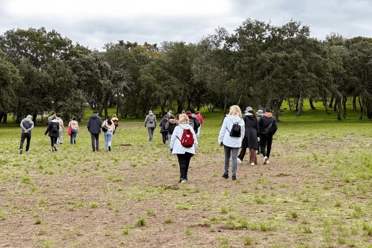 Monte Santo: Uma viagem ao Parque Florestal de Monsanto