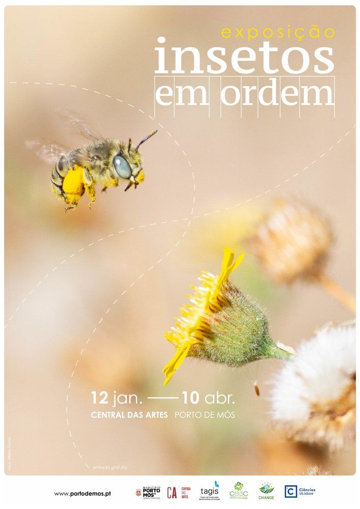 Exposição 'Insetos em Ordem'