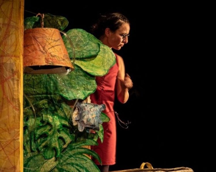 Famílias ao Teatro - Amadália Cão-Gata