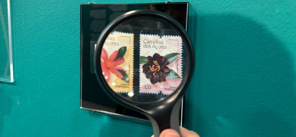 Código Família – O segredo das plantas