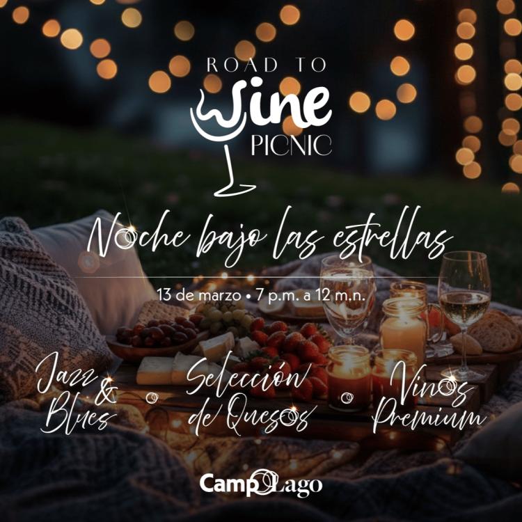 Road to Wine Picnic - Noche bajo las estrellas 