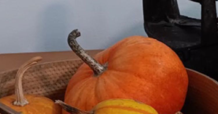 PROJETO SOCIAL E CULTURAL | Guarda Memórias