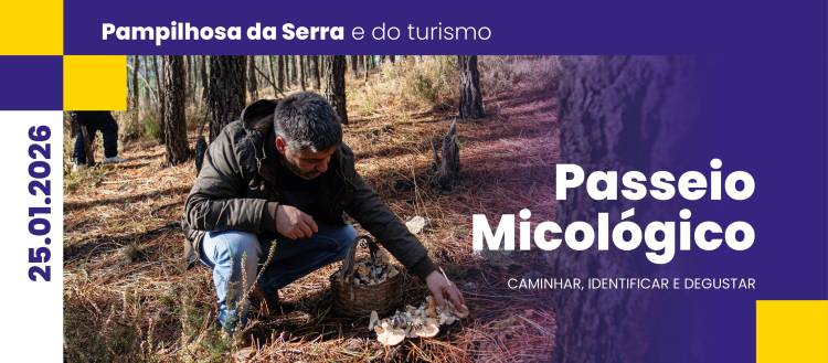 Passeio Micológico promete experiências únicas da floresta à mesa