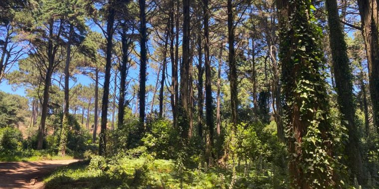 TN7 -Trilho das Fontainhas