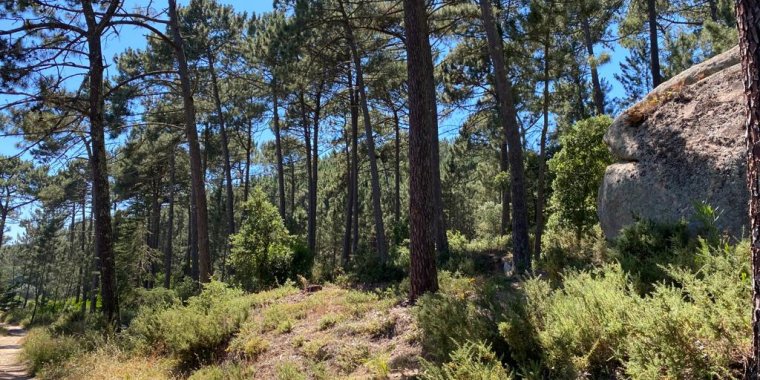 TN 11 - Trilho de Vale de Cavalos