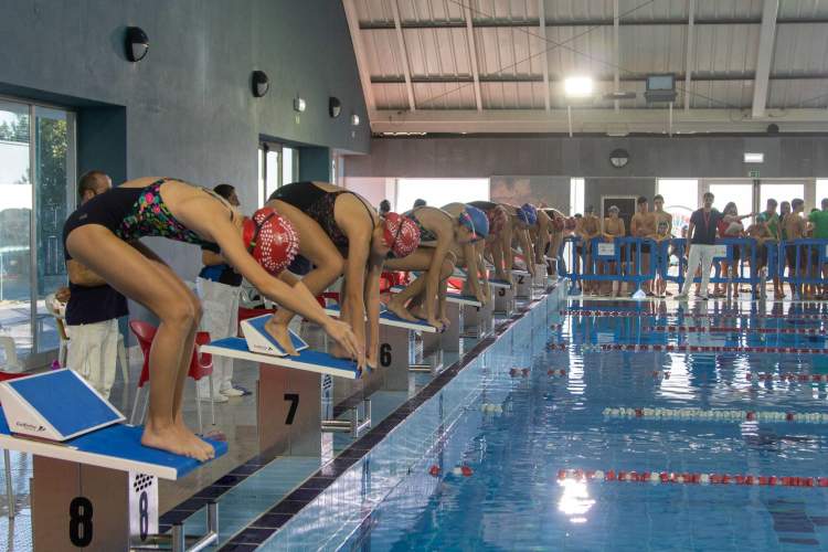 Programa de Apoio ao Desporto Escolar promove Campeonato de Natação Pura
