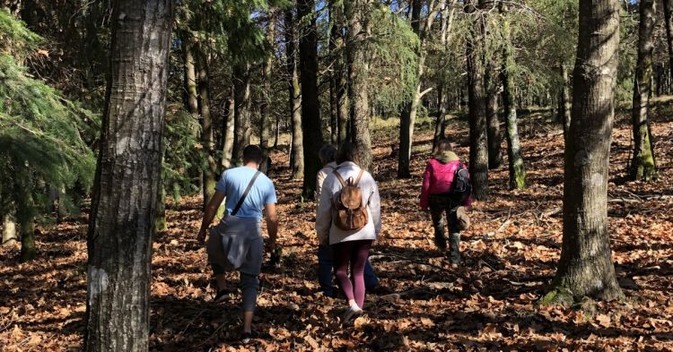 Twelve Months, Twelve Walks