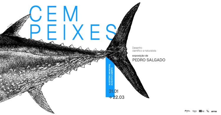 Exposição 'Cem Peixes'