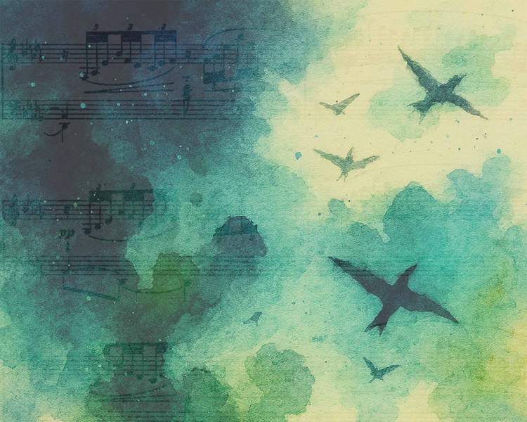 Catálogo da Natureza