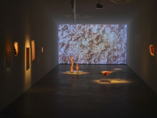 INSTALAÇÃO “HOMÚNCULO”, de Dora Vieira