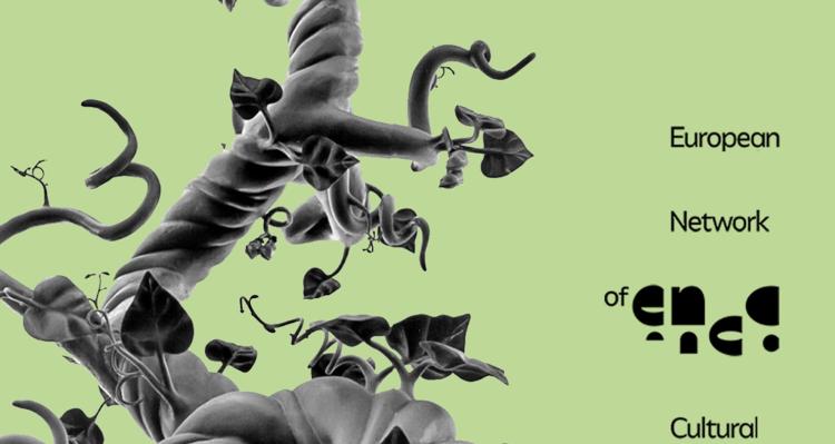 Open Call Up Grants 2026