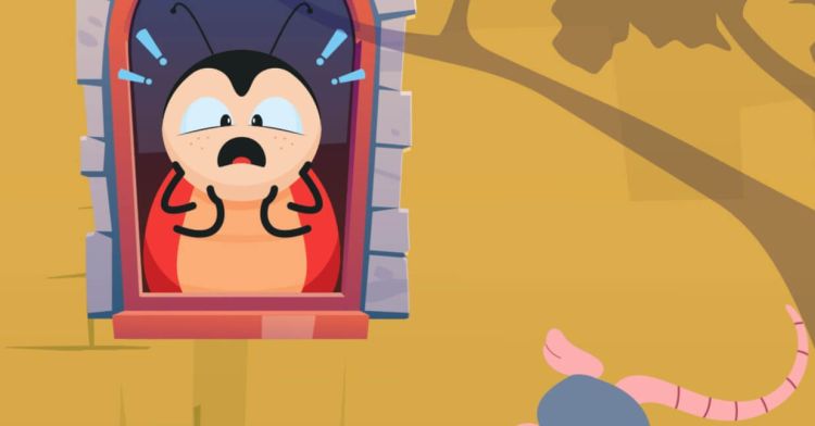 A Carochinha & o João Ratão