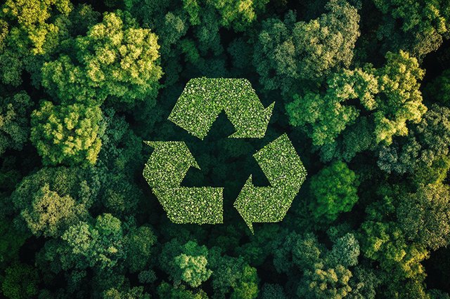 Economia Circular: Como Poupar para o Planeta Ganhar