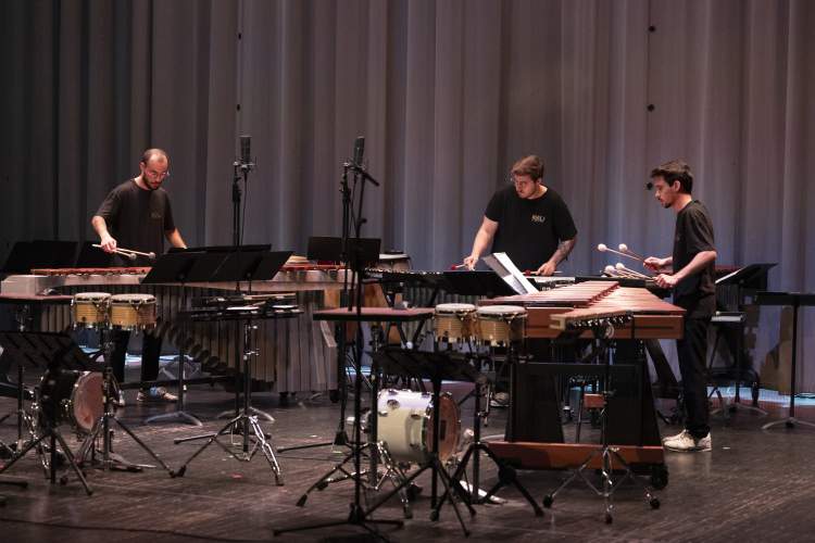 Kodu Percussion Group